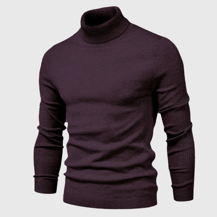 Tommy High Classic Turtleneck